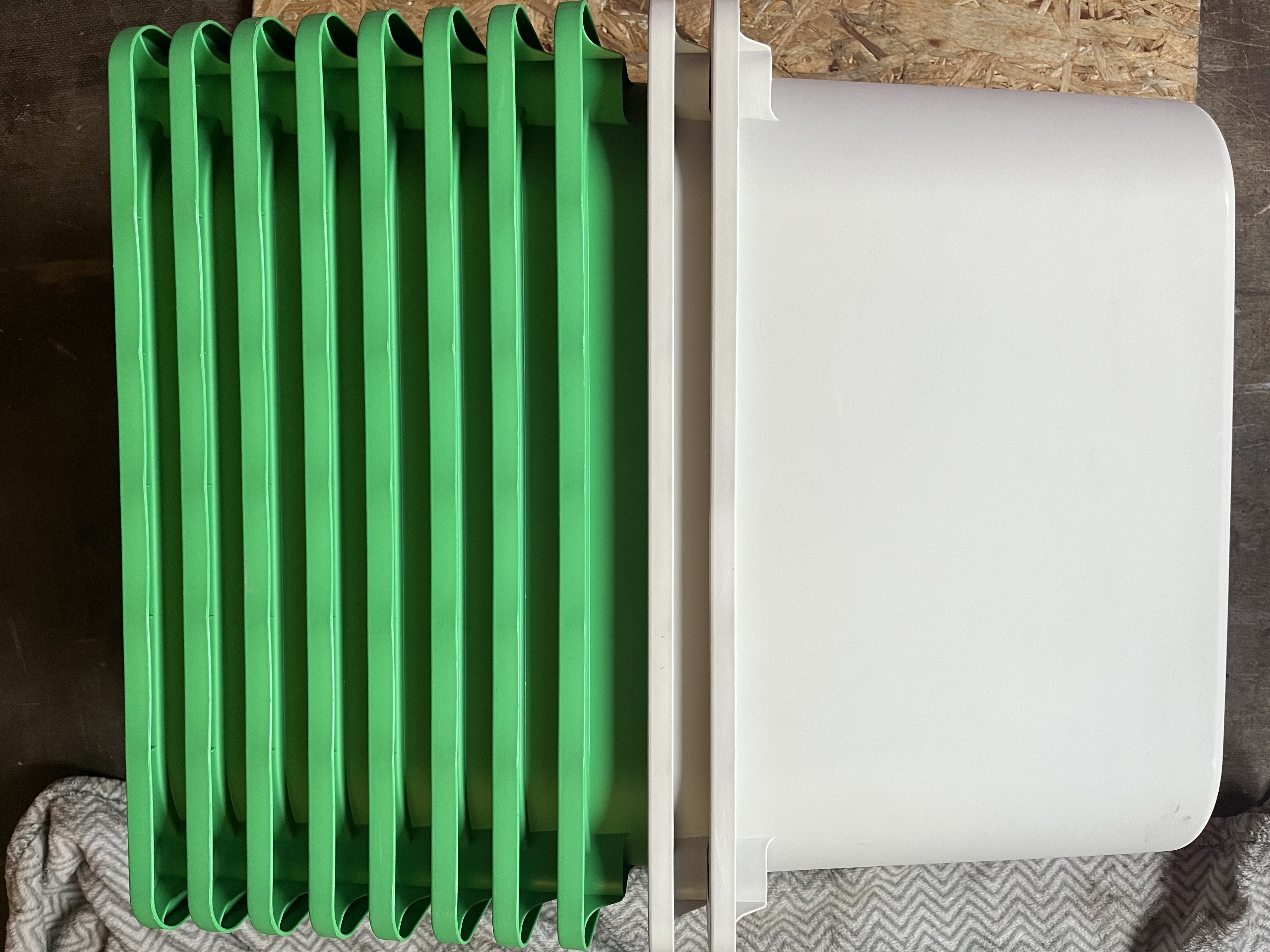 Spintelė Kaunas-Palanga