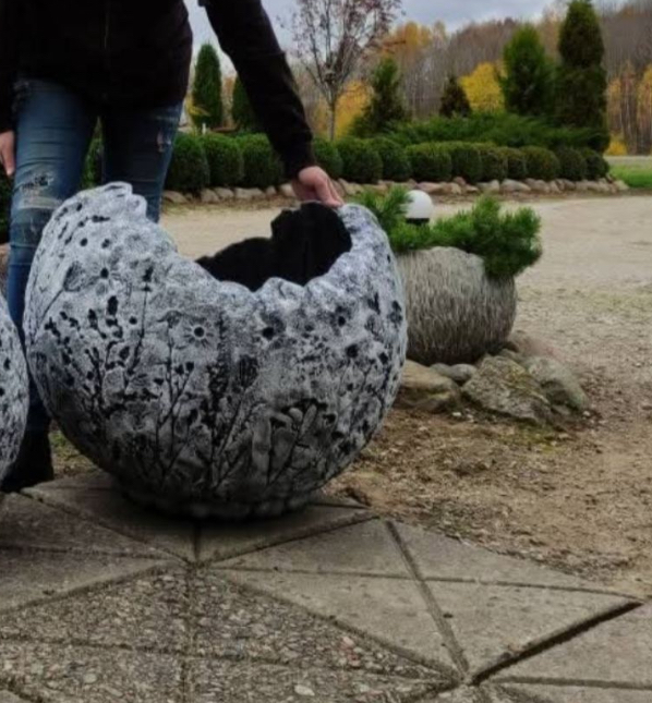 Vazonas Skuodas-Vilnius